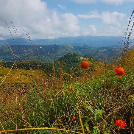 Tower Studio In The Treetops In Altos Del Maria Panama Apartment El Picacho ภายนอก รูปภาพ