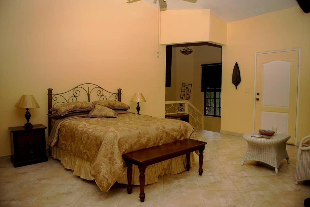 Tower Studio In The Treetops In Altos Del Maria Panama El Picacho ภายนอก รูปภาพ