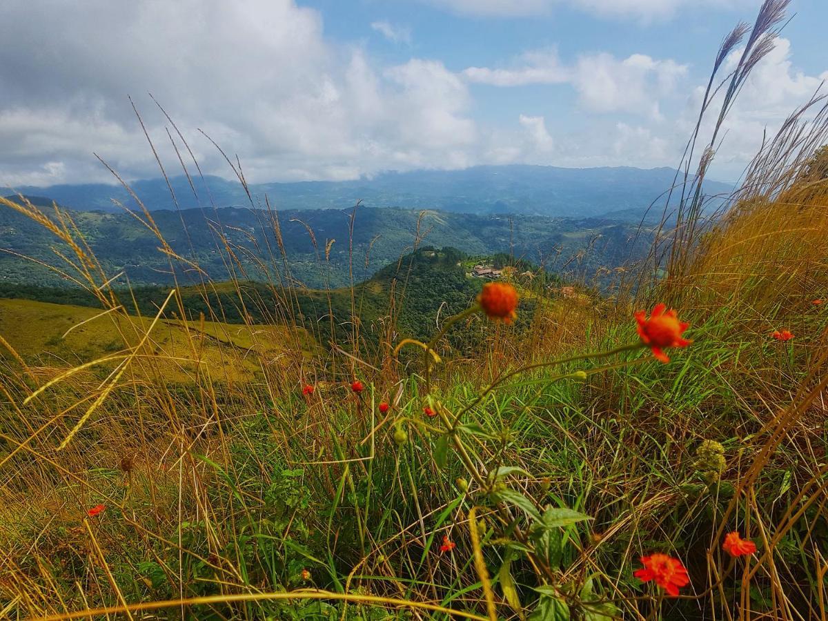 Tower Studio In The Treetops In Altos Del Maria Panama Apartment El Picacho ภายนอก รูปภาพ