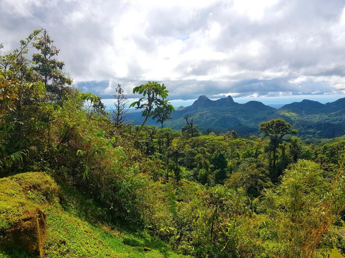 Tower Studio In The Treetops In Altos Del Maria Panama El Picacho ภายนอก รูปภาพ