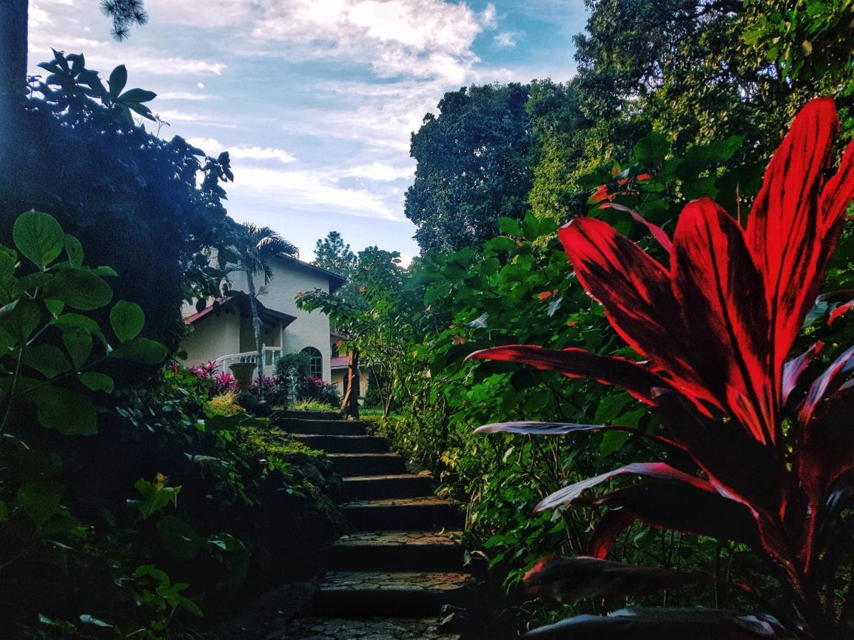 Tower Studio In The Treetops In Altos Del Maria Panama Apartment El Picacho ภายนอก รูปภาพ